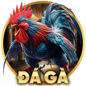 Đá gà LC88
